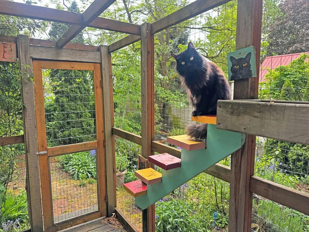 2026 Catio Tour!
