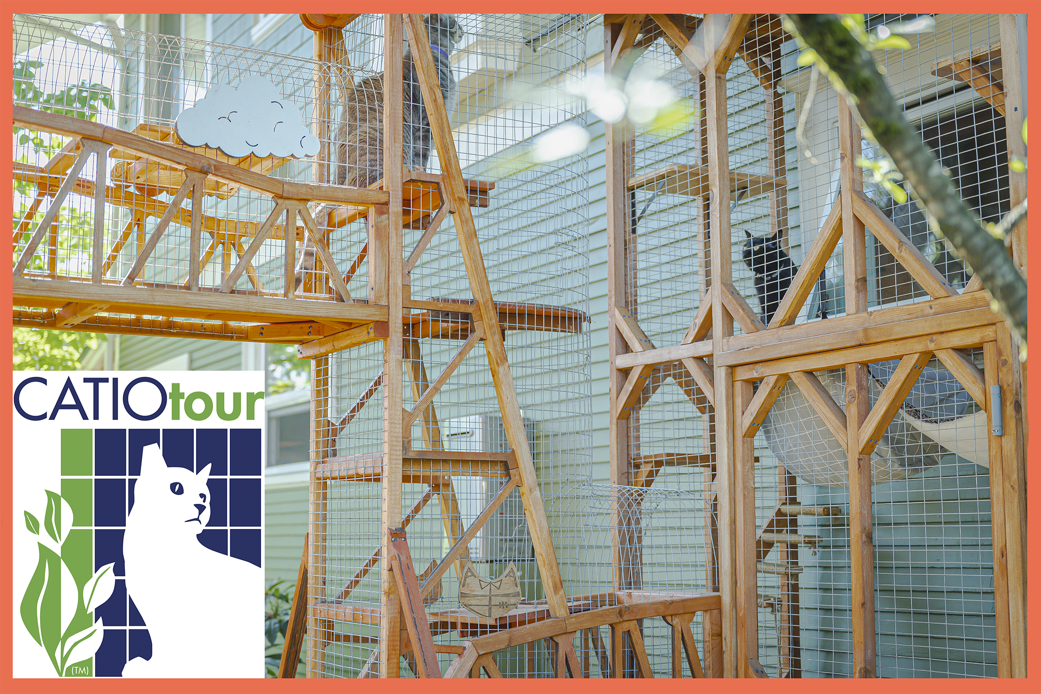 Register Now for the 2026 Catio Tour!