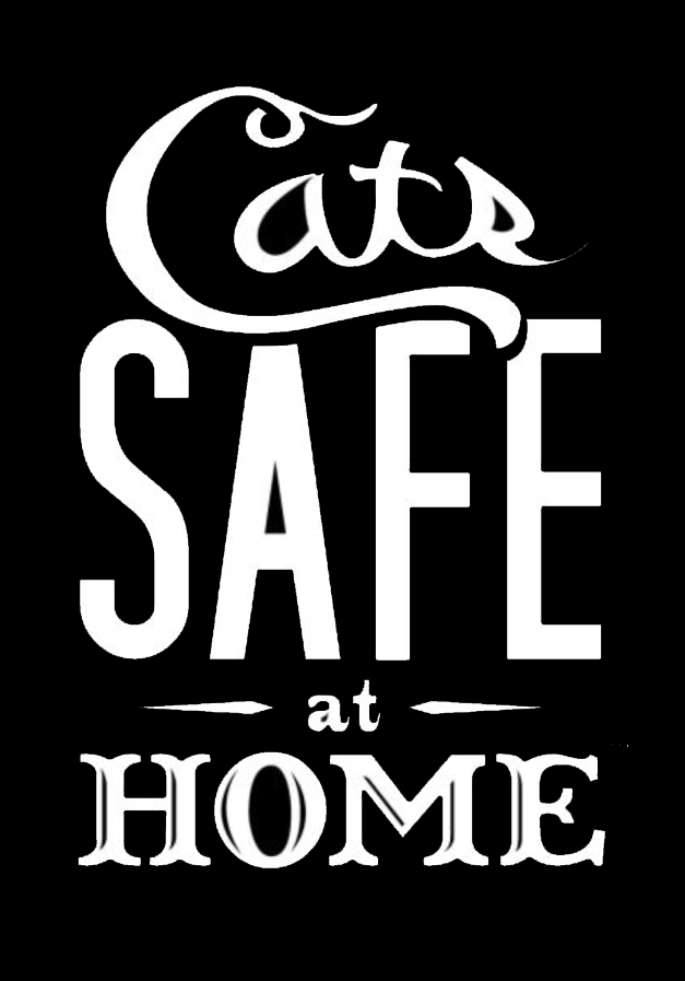 CSAH iso logo.png