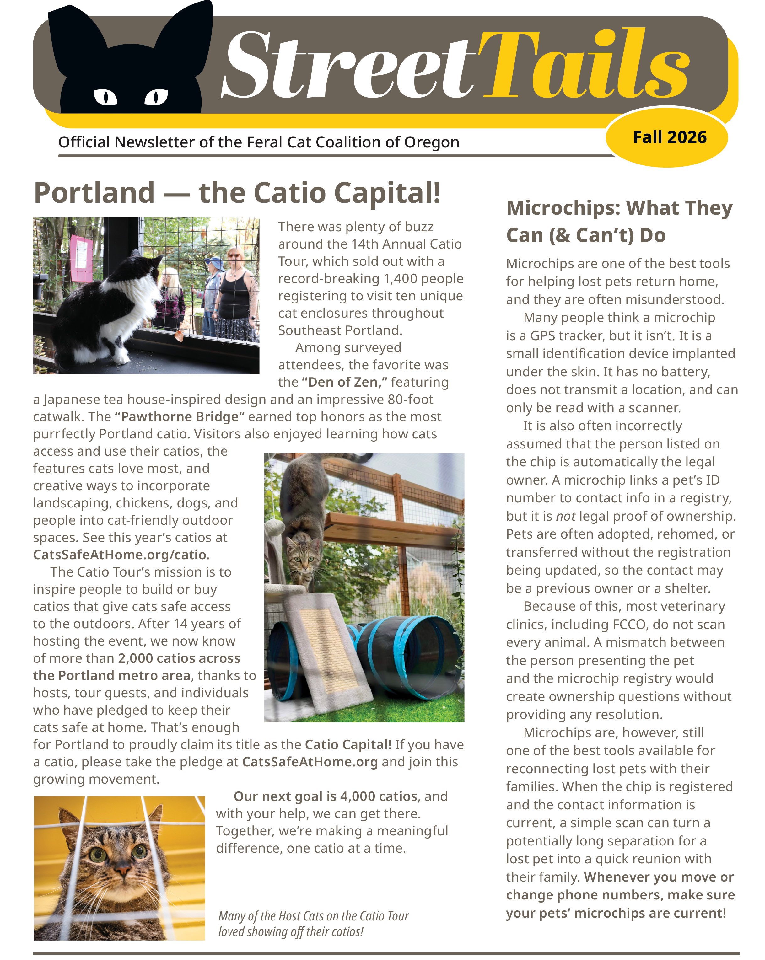 Street Tails Newsletter - Fall 2026