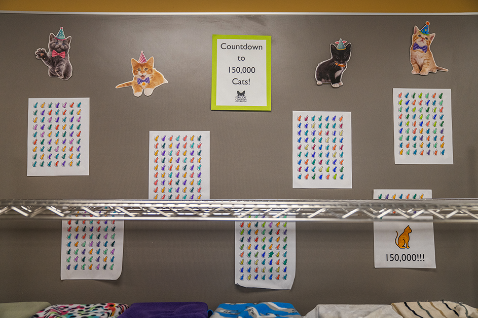 Copy of DSC09773@0.1x.png