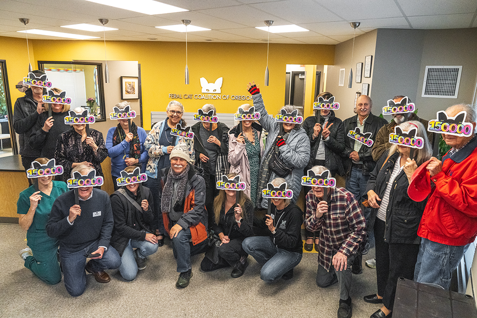 3 - celebration 4(1)@0.1x.png