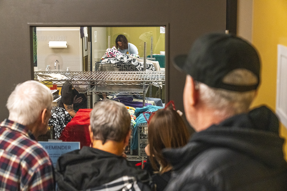 3 - celebration 5@0.1x.png