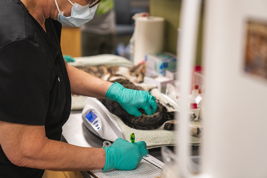 2 - clinic action 5@0.1x.png