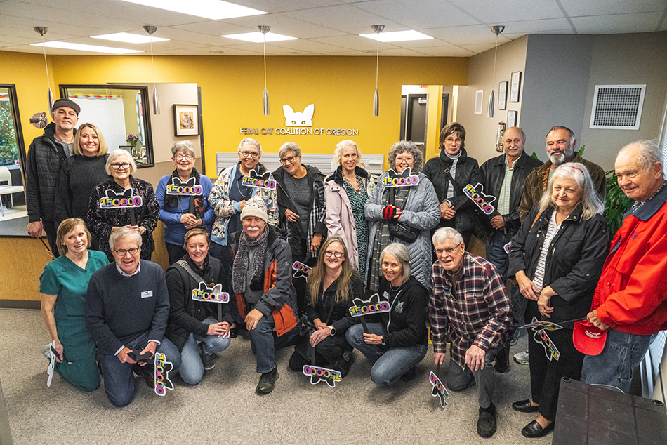 3 - celebration 2@0.1x.png