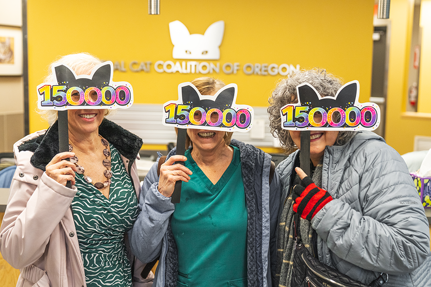 3 - celebration 3@0.1x.png