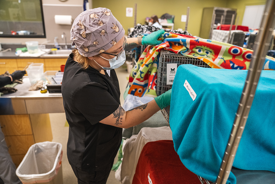 2 - clinic action 1@0.1x.png