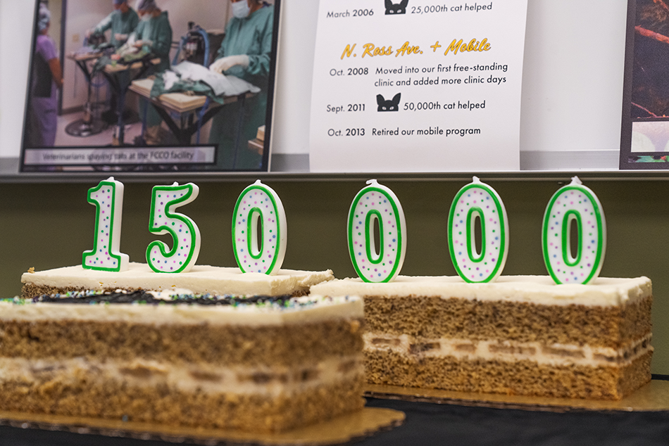 3 - celebration 1@0.1x.png