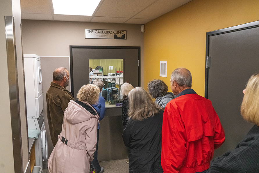 3 - celebration 4@0.1x.png