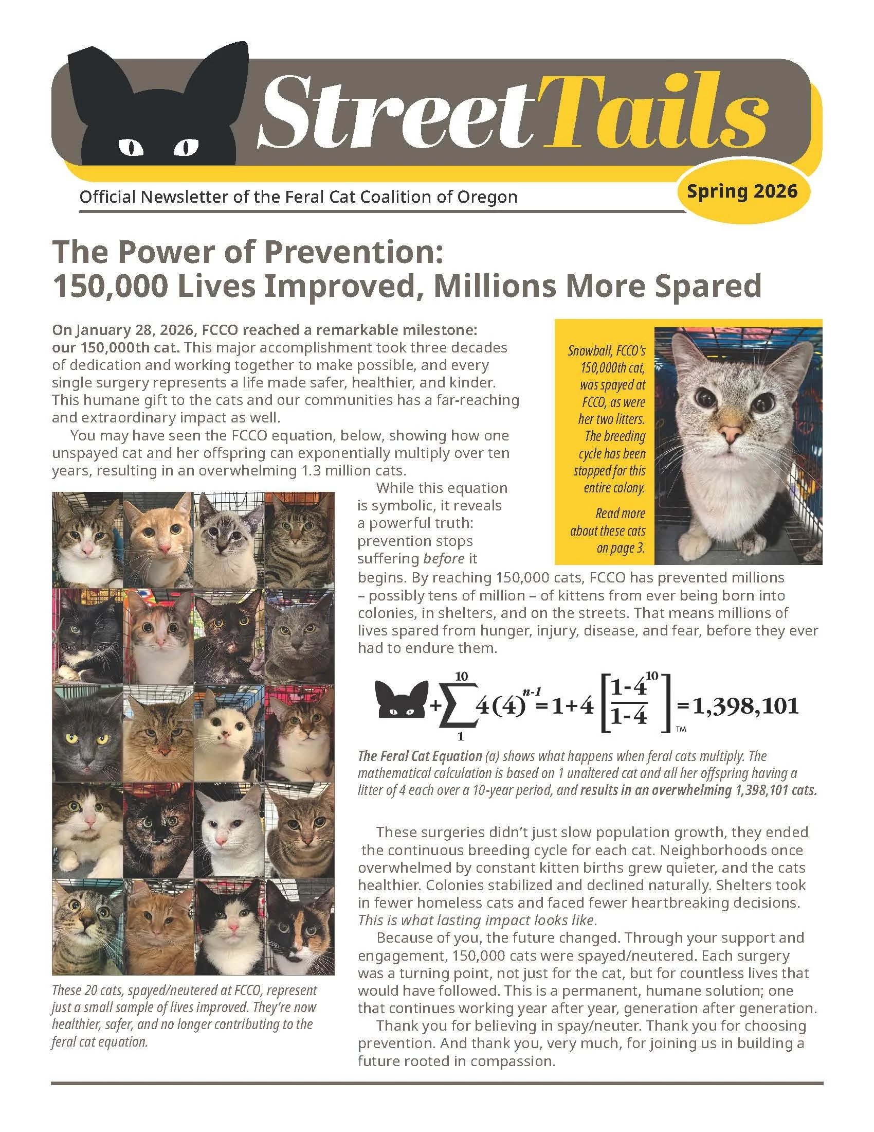 Street Tails Newsletter - Spring 2026