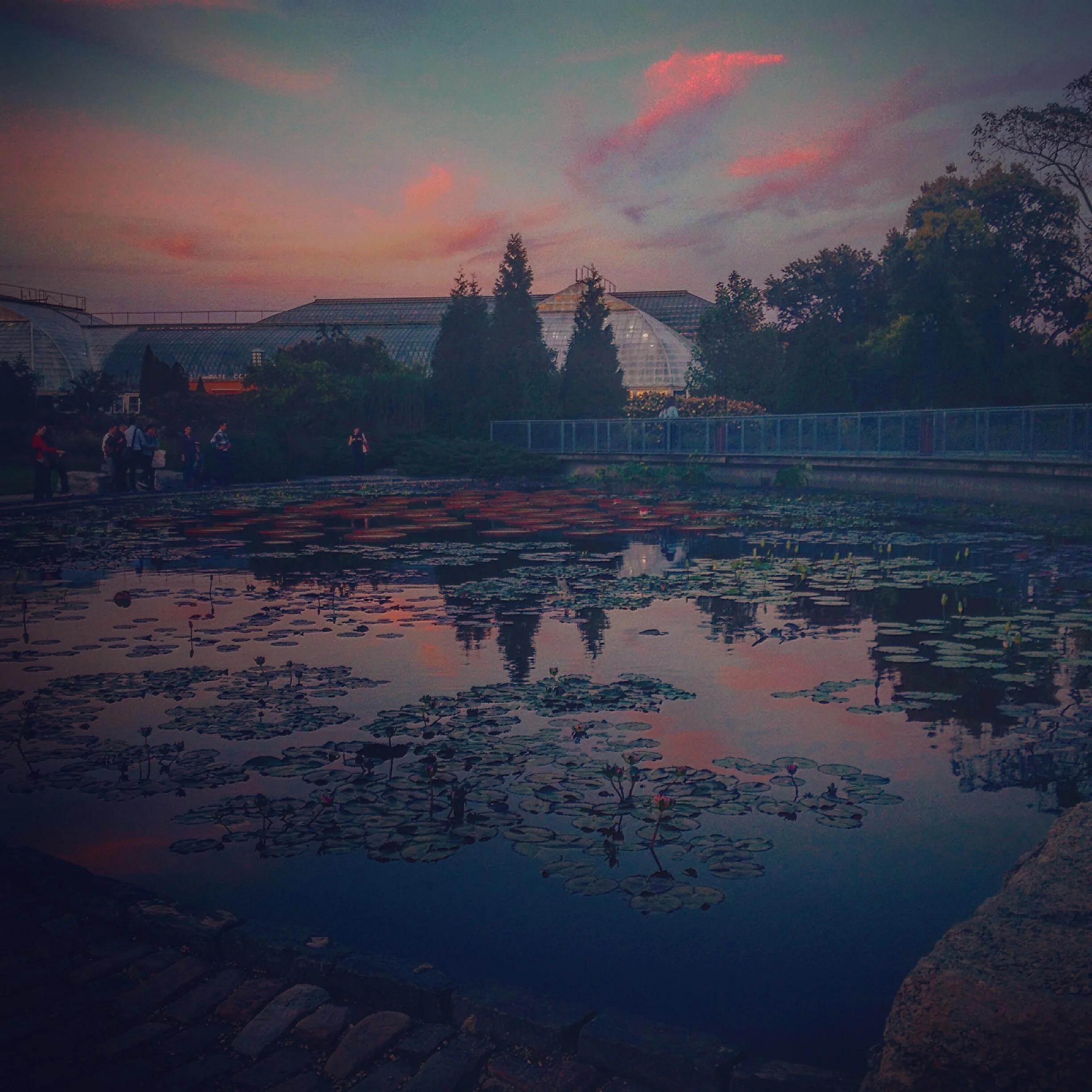 Sunset Reflections