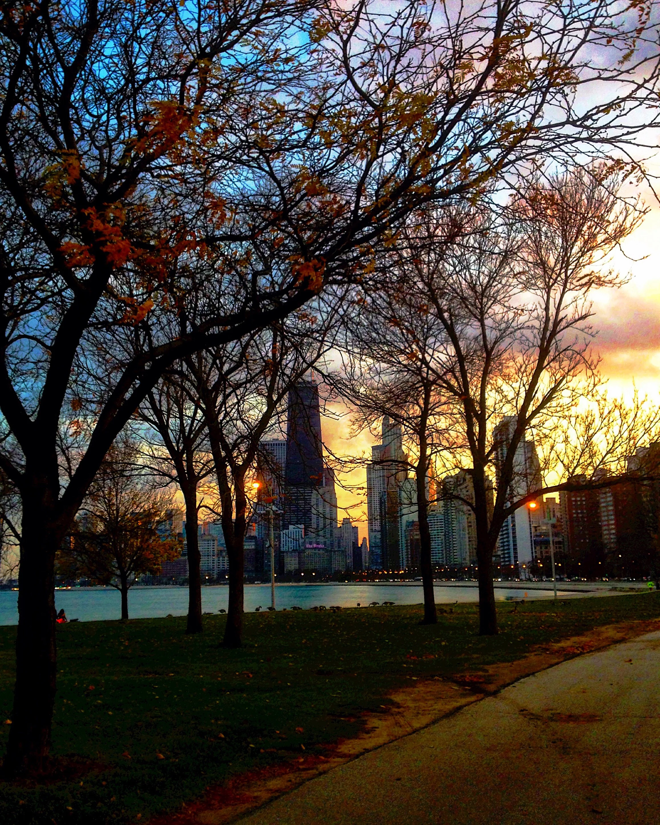 Last Days of Autumn
