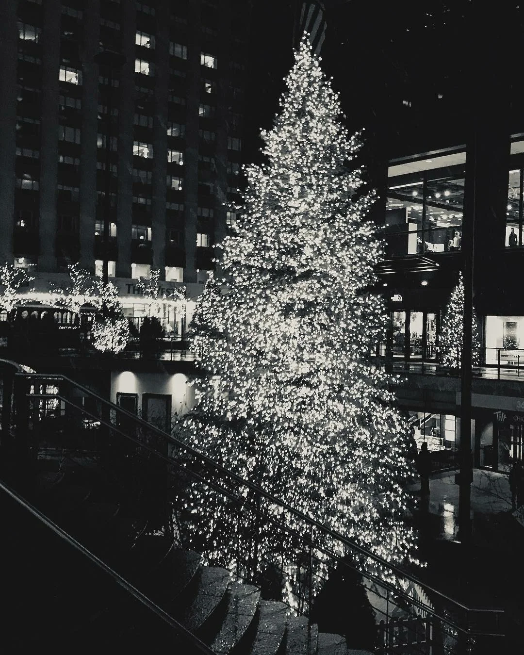 Holiday Sparkle