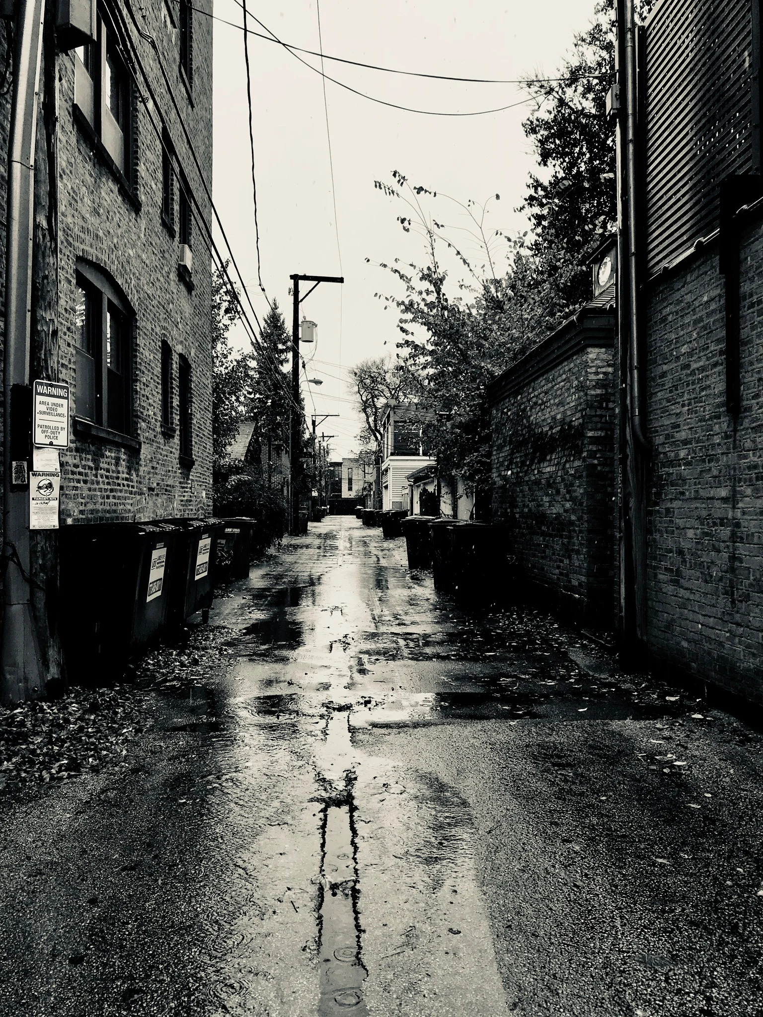 Alley Noir