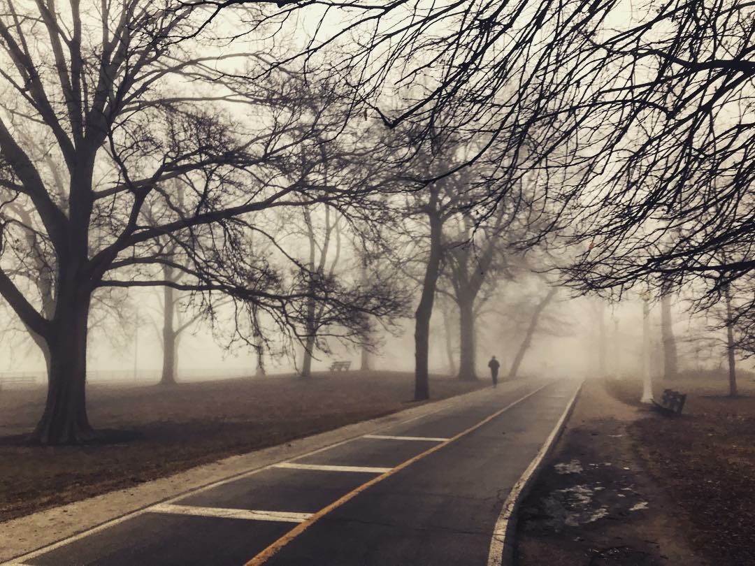 Foggy Run