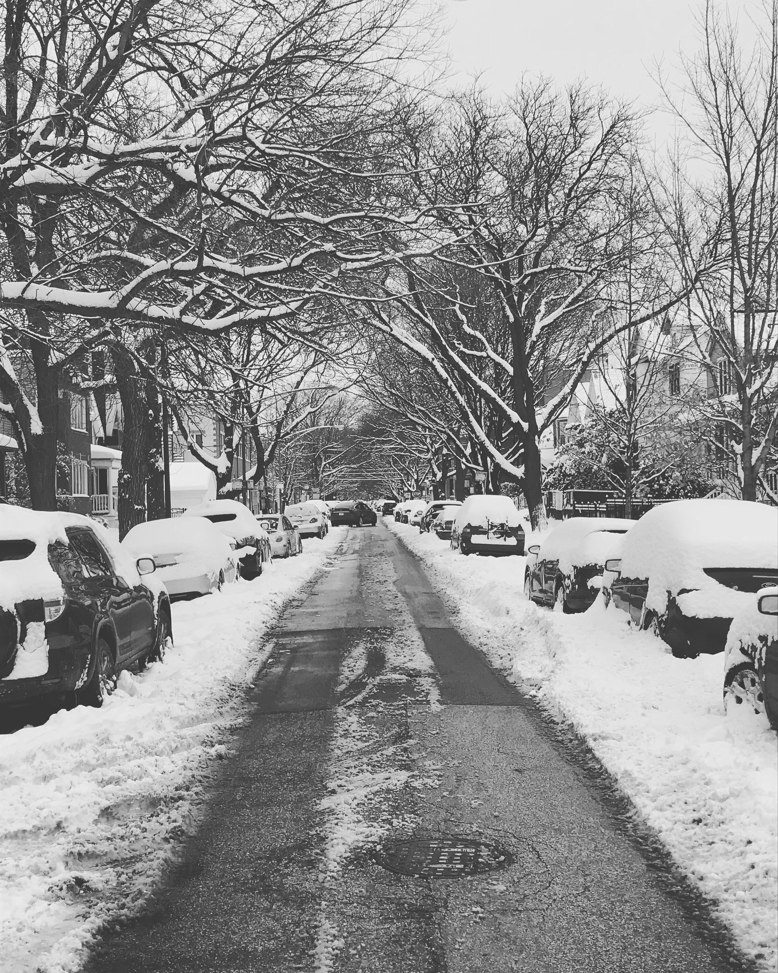 Snowy Street