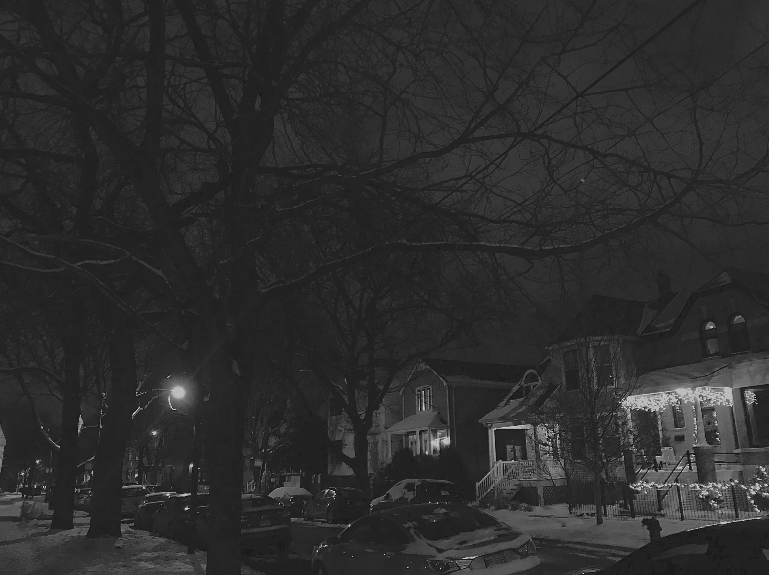 Cold Winter Walks🖤
