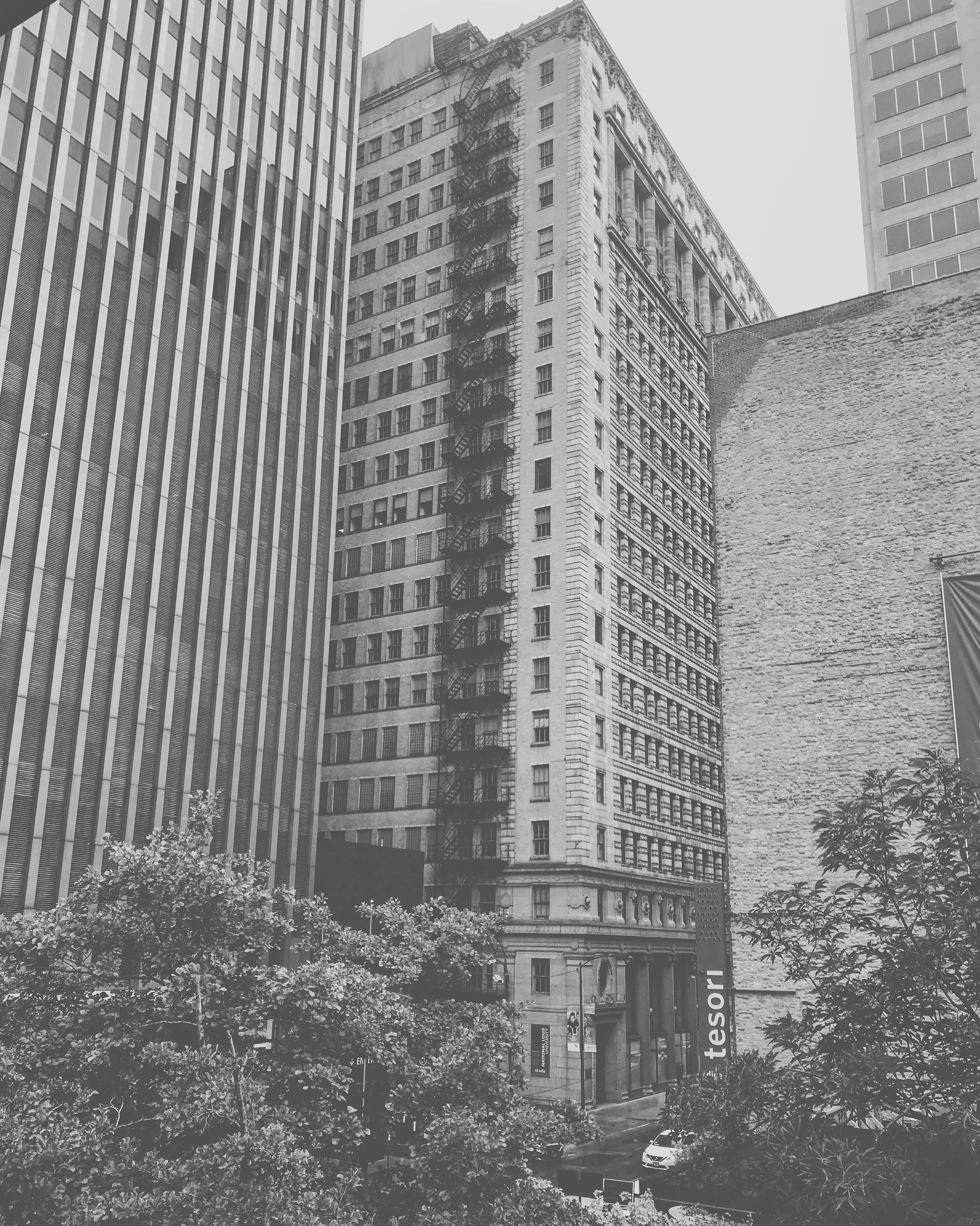 2C117166-0082-49D5-B8BA-A5691F645CC5.jpeg