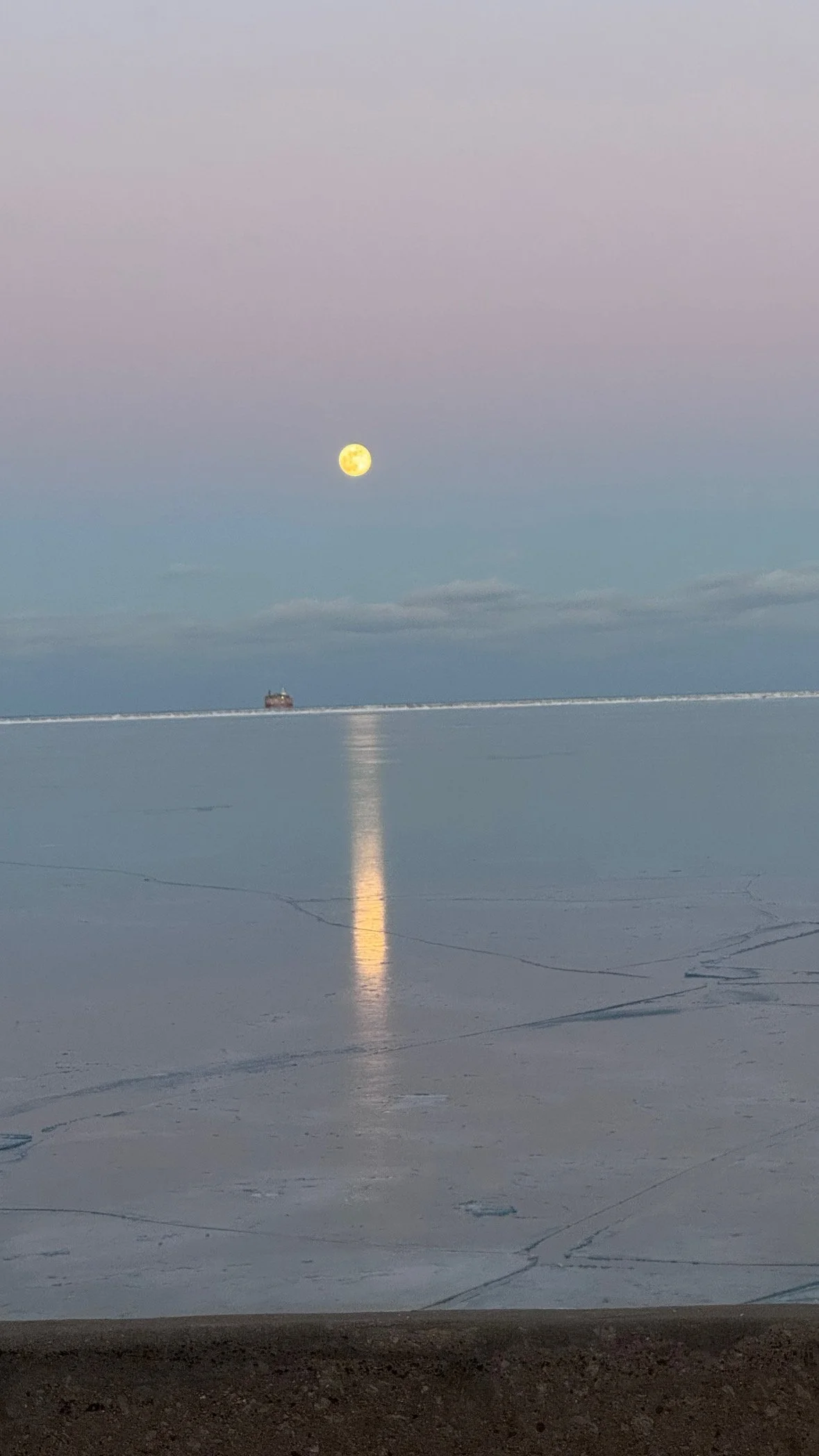 Wolf moon