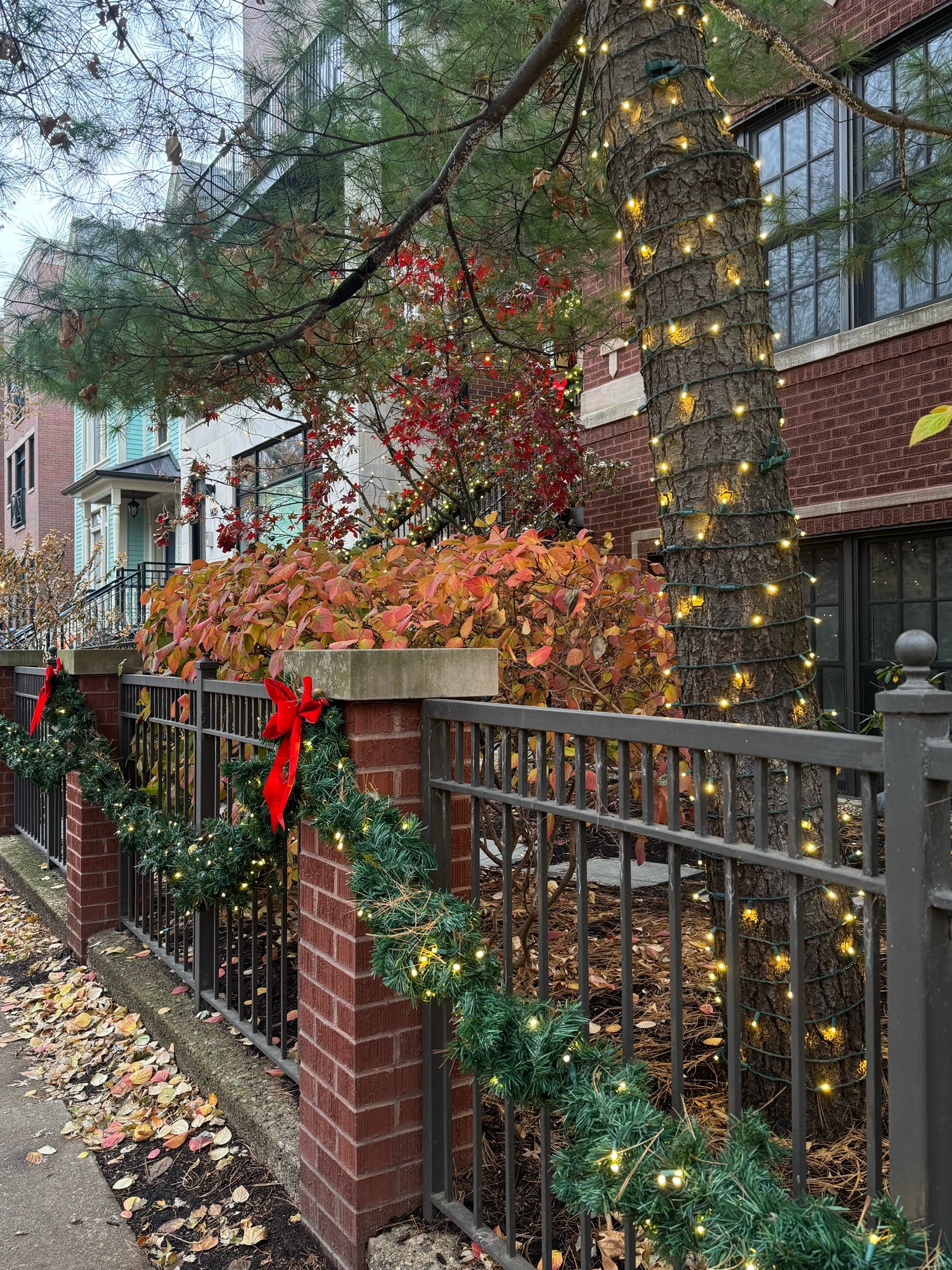 Southport Ave Holiday Season