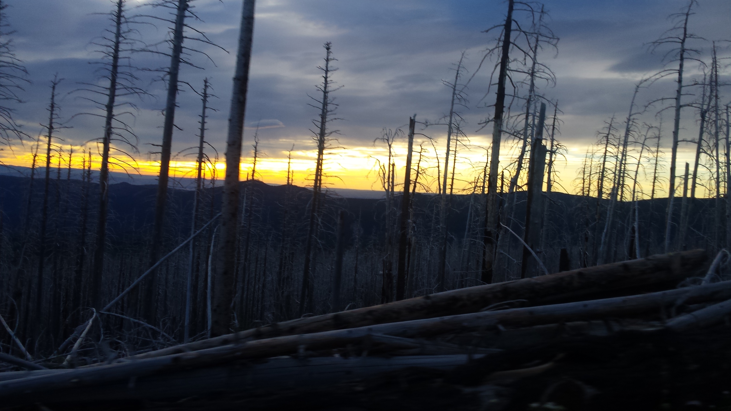 Sunset finish