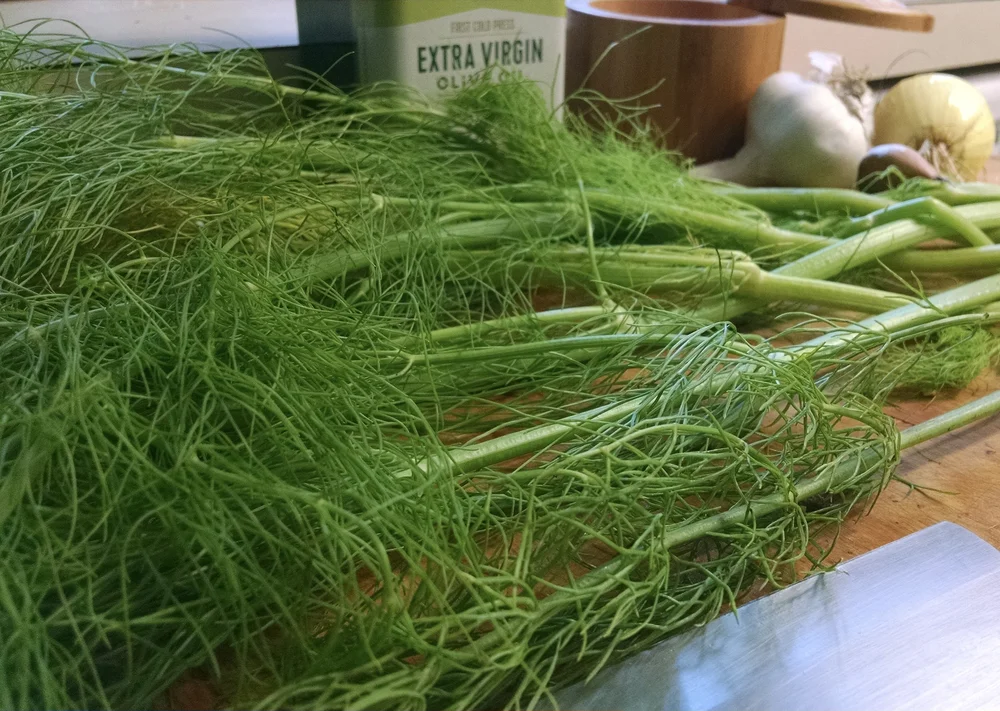 What To Do With Those Fennel Fronds Pesto A Plenty Spears Strong What To Do With Those Fennel Fronds Pesto A Plenty Spears Strong