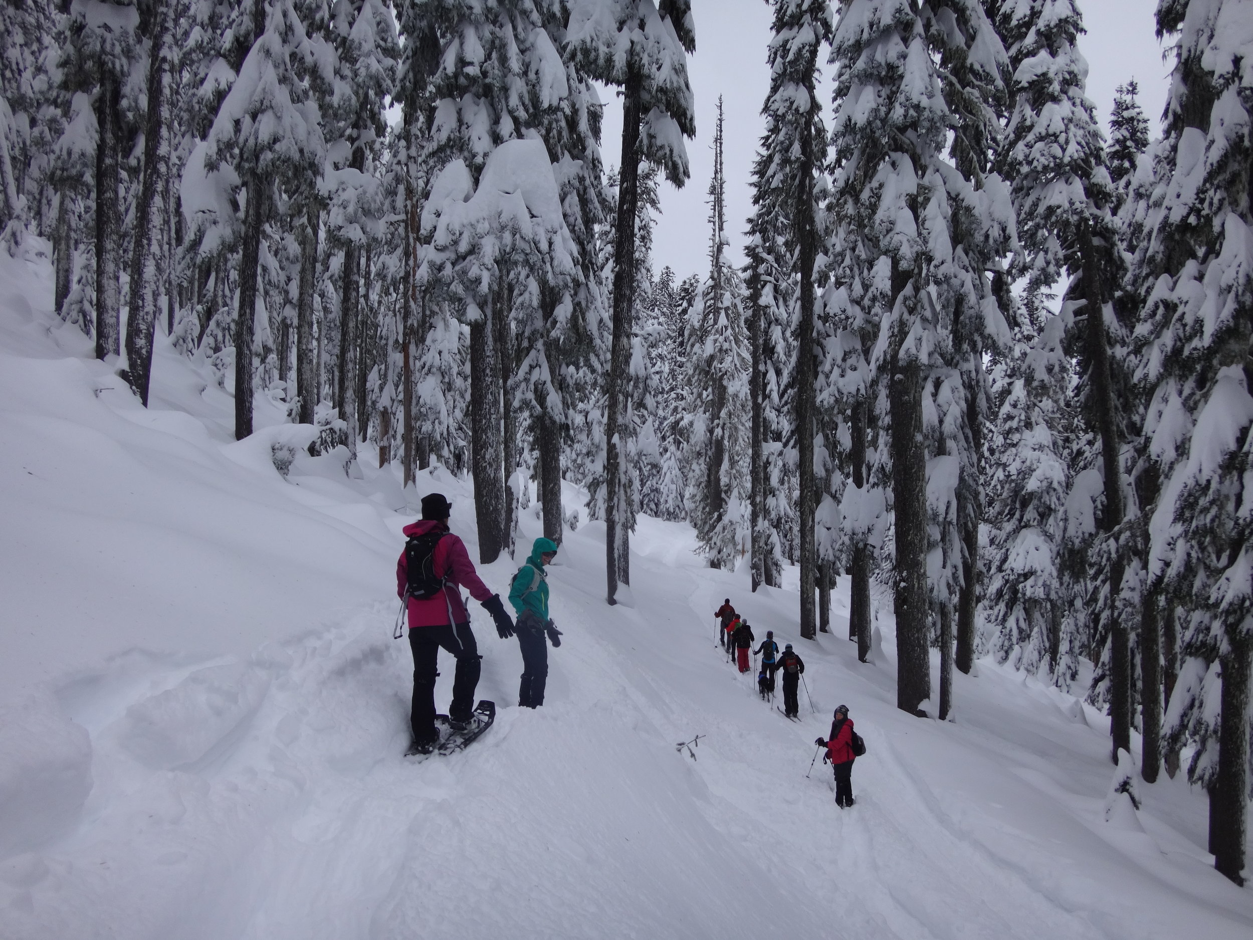 Snowshoeing at Bennet Pass 