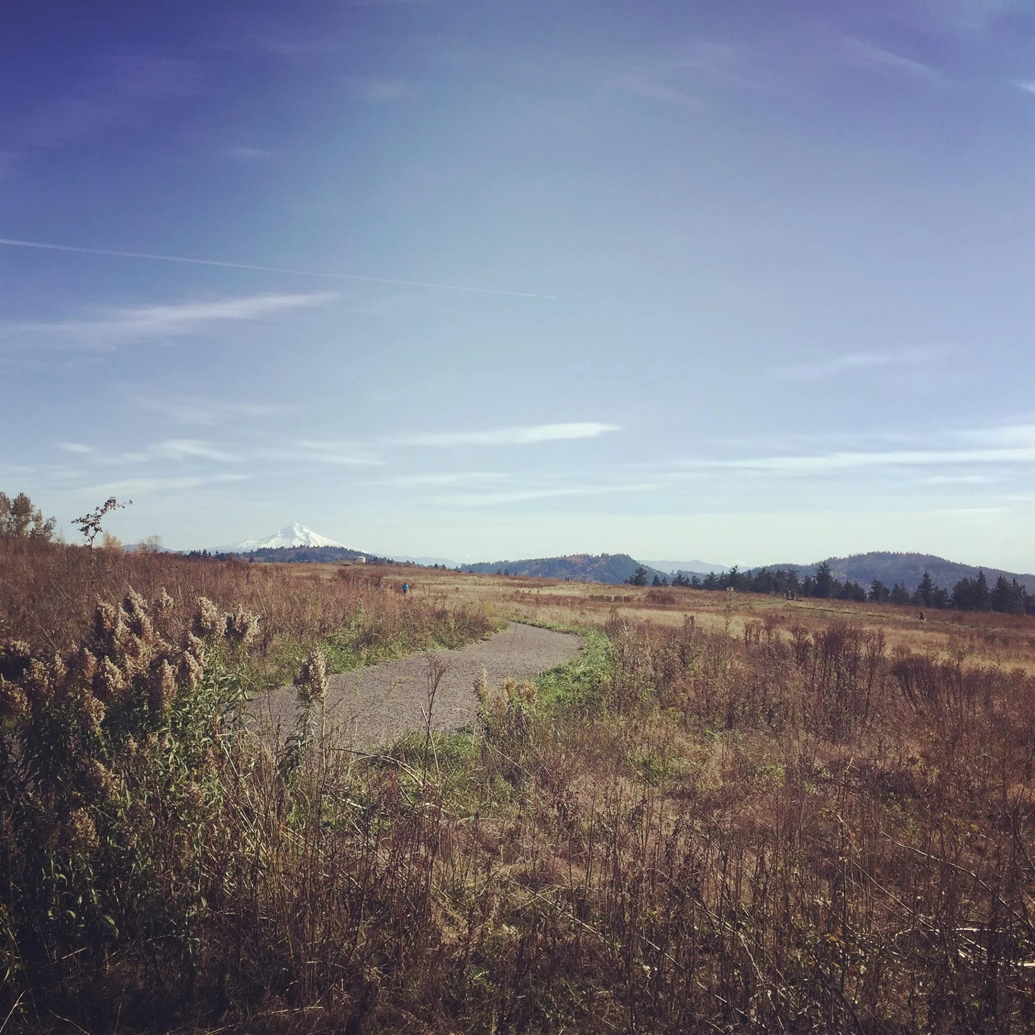 View of Mt. Hood from Powell Butte Nature Park in Portland. Photo by Jonathan Spears
