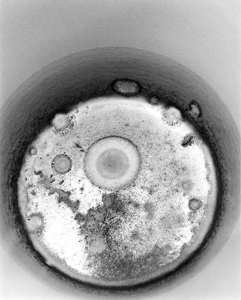 Small world teacup 300dpi e2-11.jpg