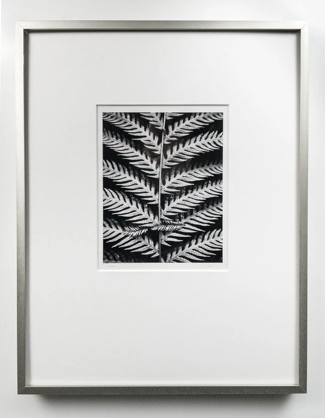 Fern frame Cindy Stokes.jpg