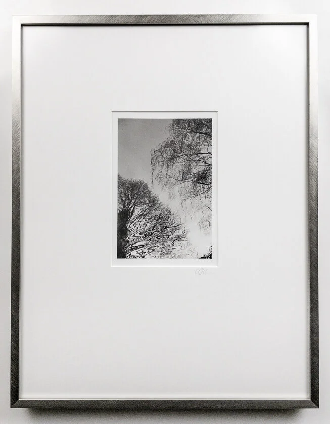 Tree Reflections 1 frame Cindy Stokes.jpg