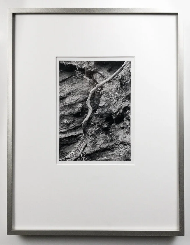 Wandering frame Cindy Stokes.jpg