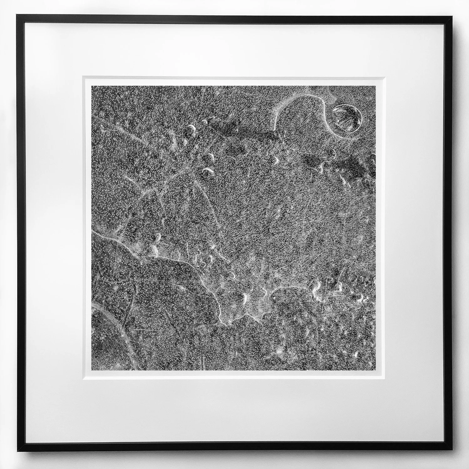 Emergence frame med.jpg