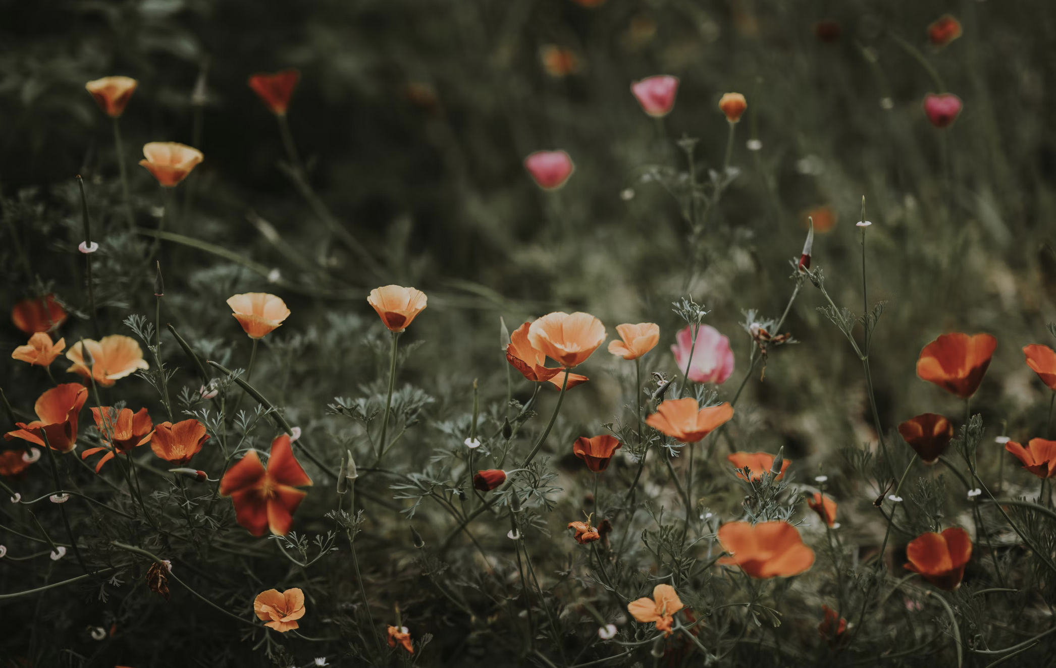 Don’t Get Too Attached to Non-Attachment