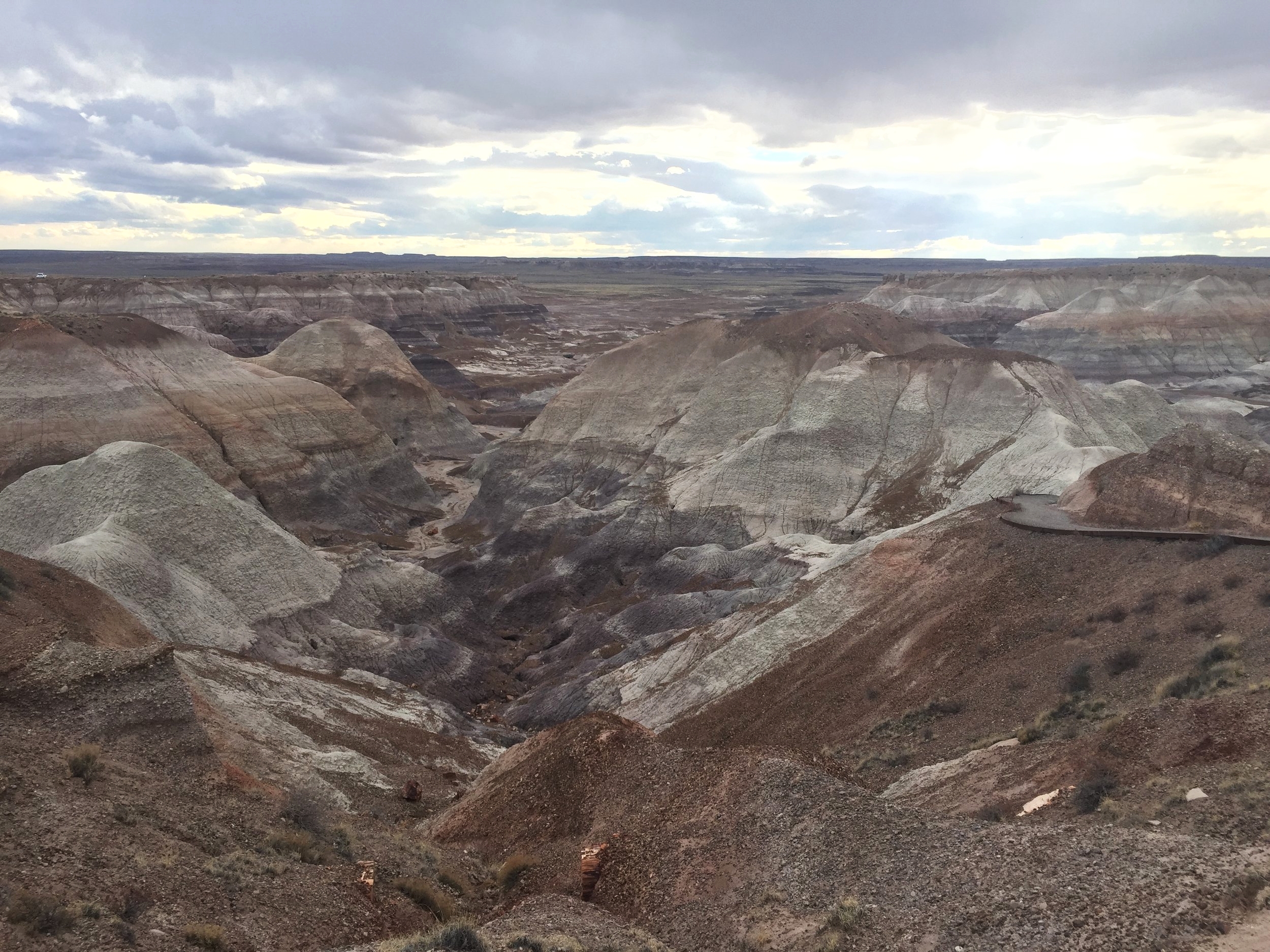 Blue Mesa Trail, Petrified National Forest / Arizona U.S.A.