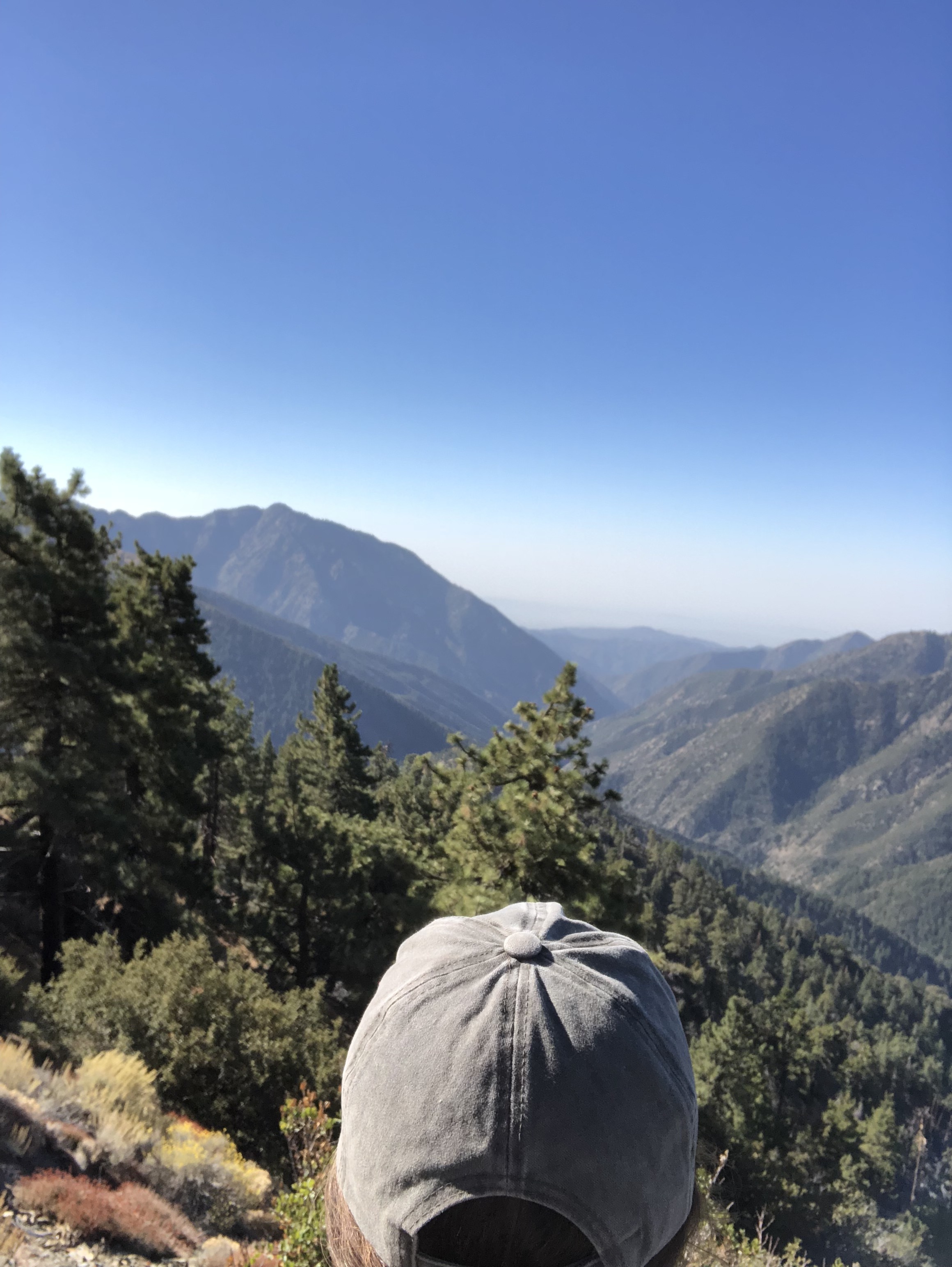 Inspiration Point / Wrightwood, California U.S.A.