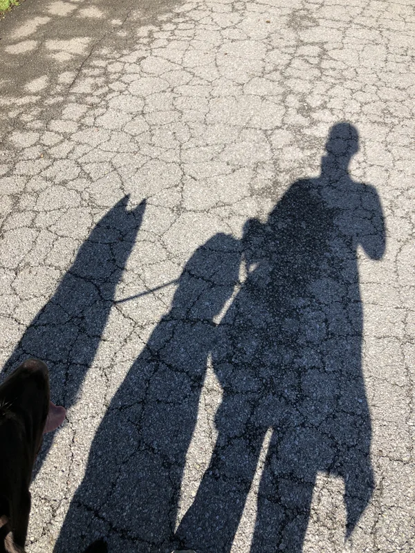 Walking with Denali and Steve.