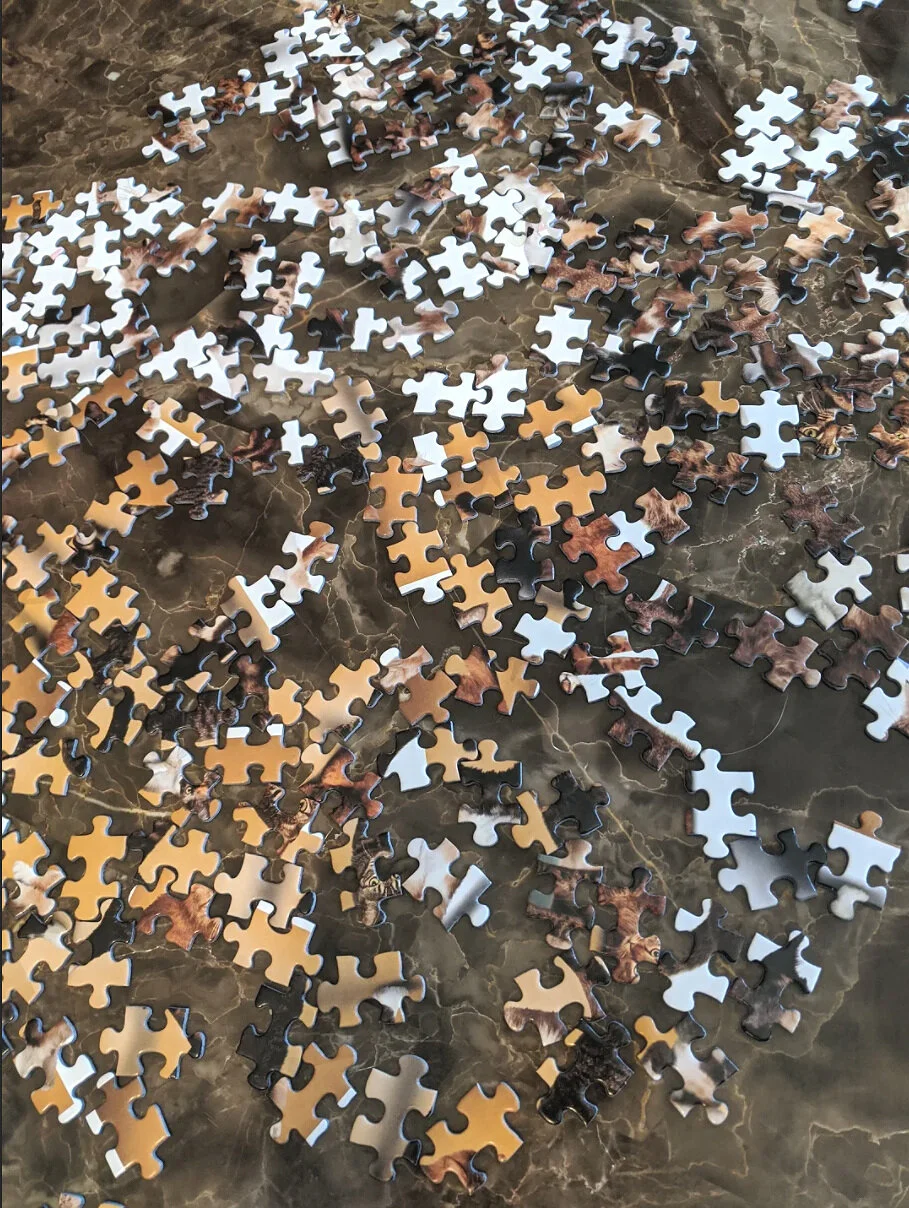 Putting the Pieces Together