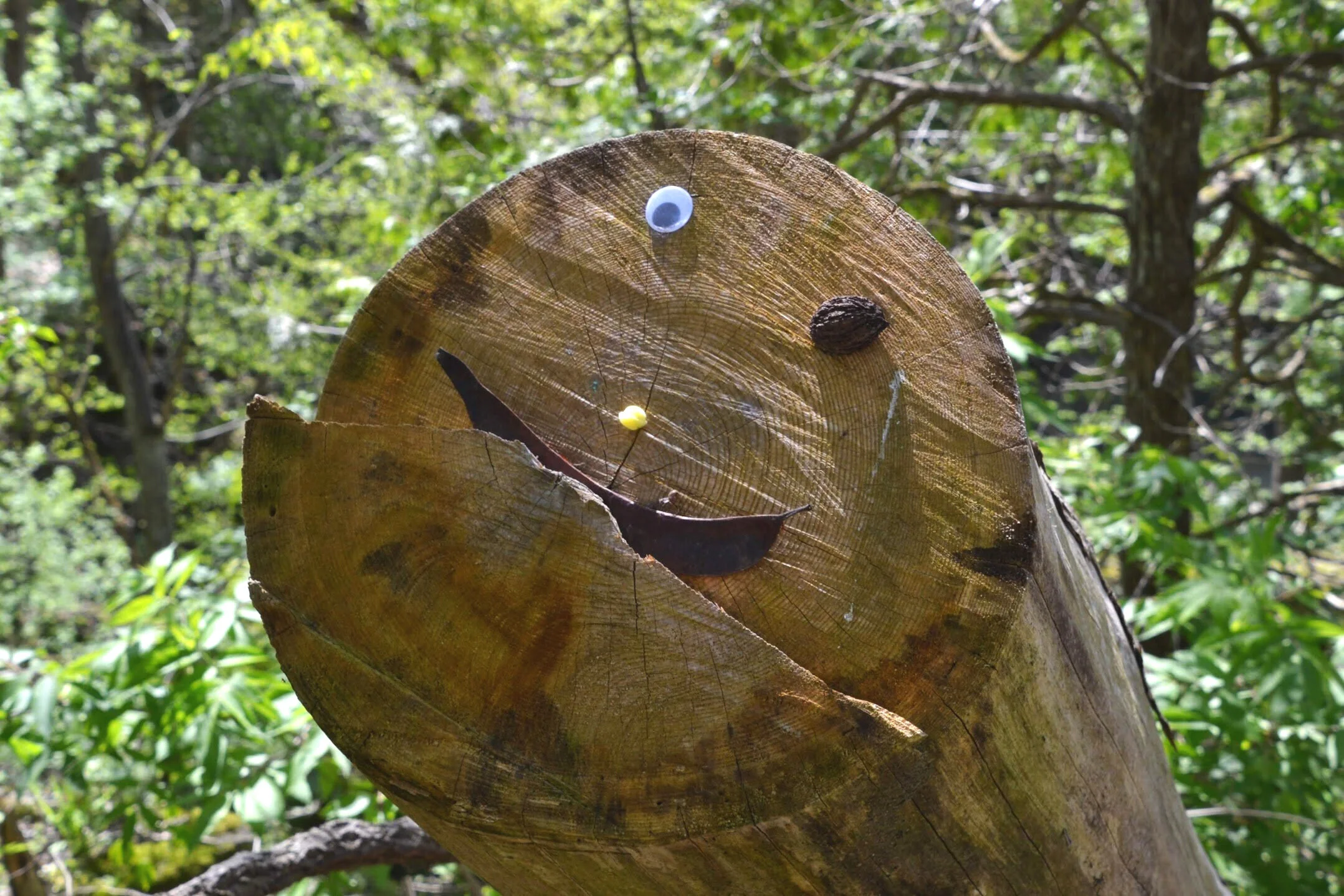 The Reason We Need To Be Spontaneous