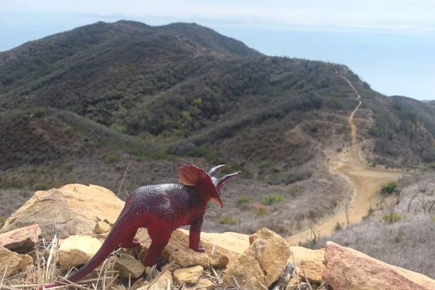 There by the Grace of God Go I