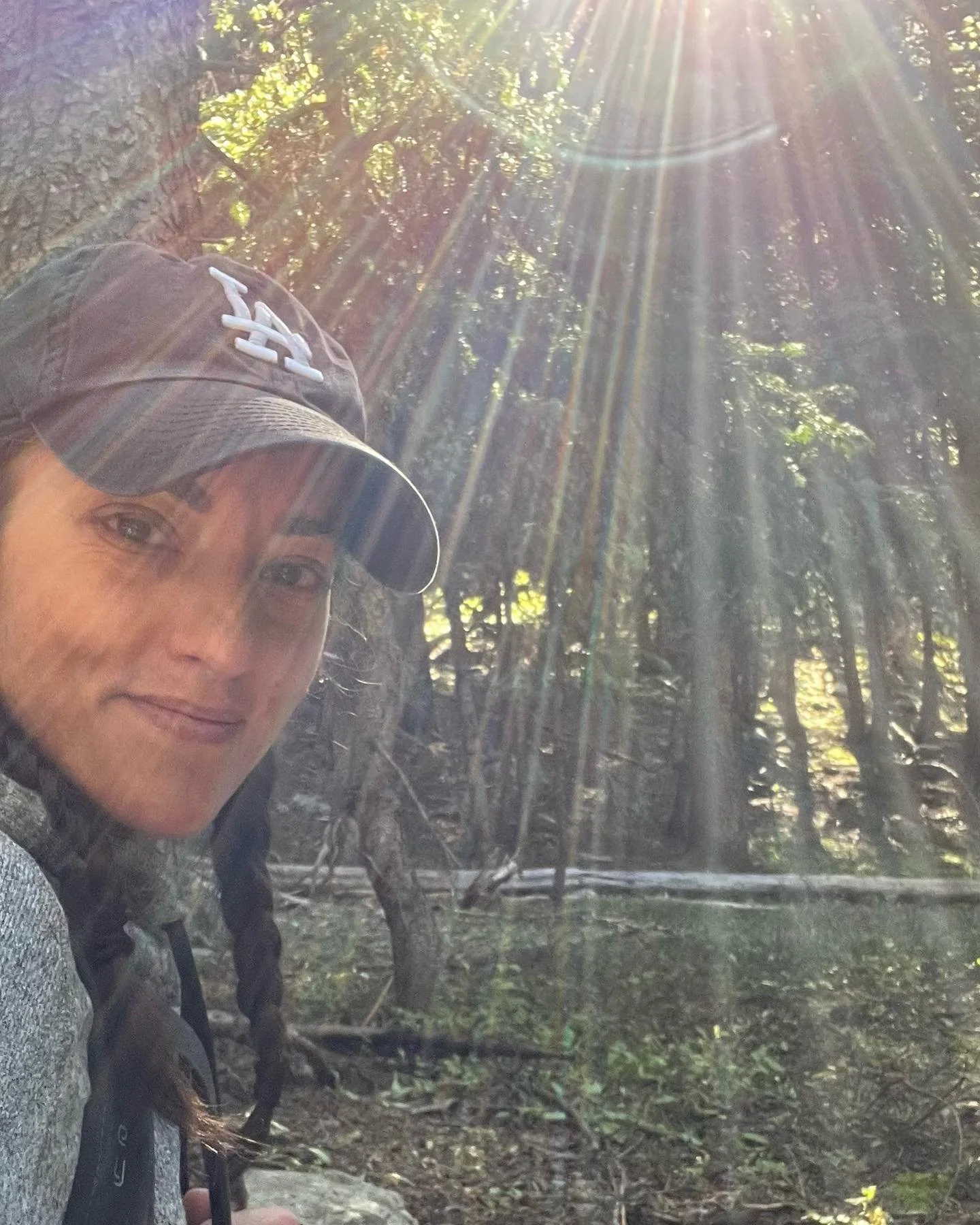 It&rsquo;s always a great day to be grateful for sunshine, rain, trees, butterflies&hellip;☀️🦋🌲Remember #natureismedicine ✨