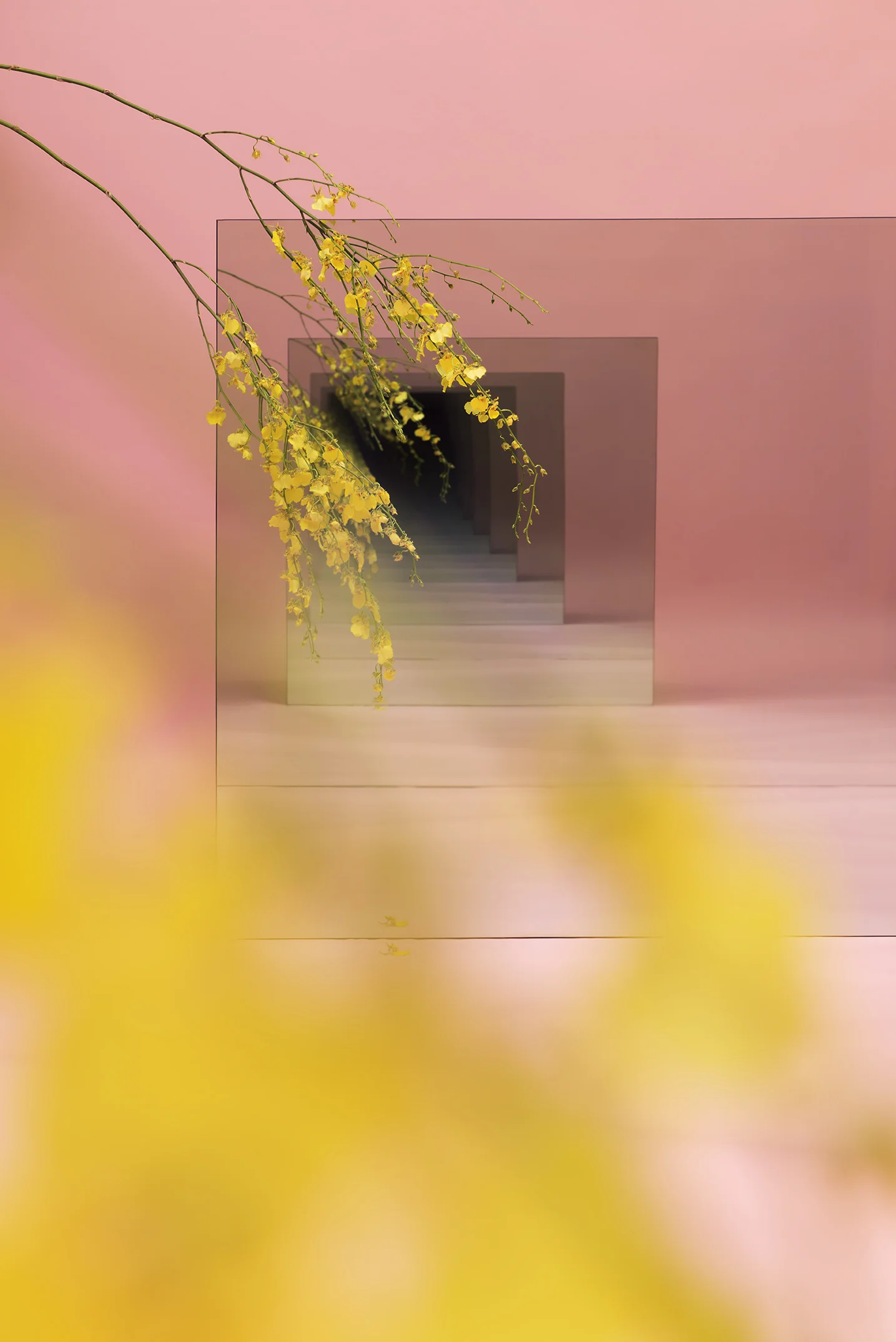 Pink and Yellow Speculation