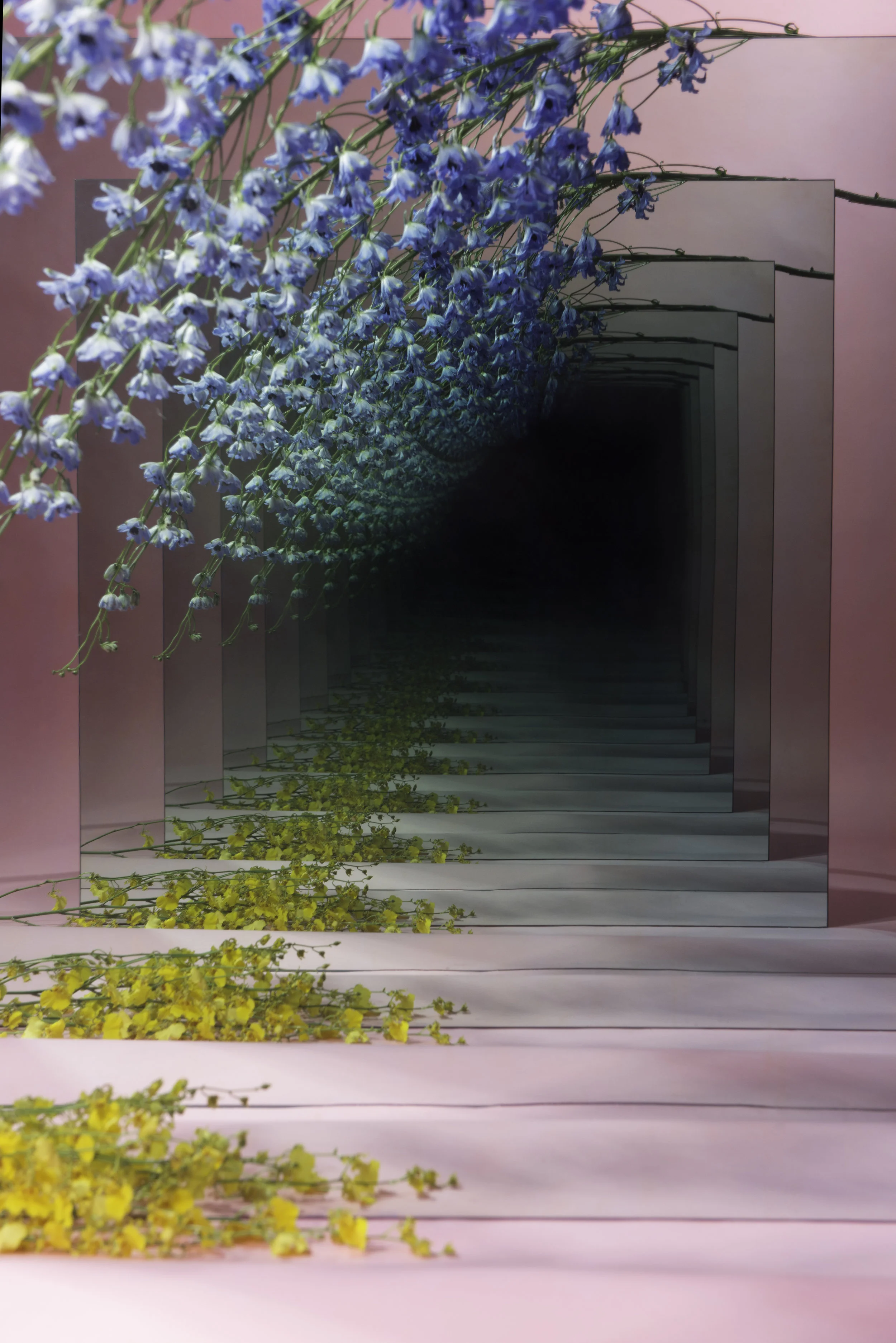 Pink and Blue Speculation