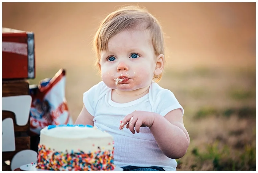 Eastons-first-birthday-session-watauga-baseball (21).jpg