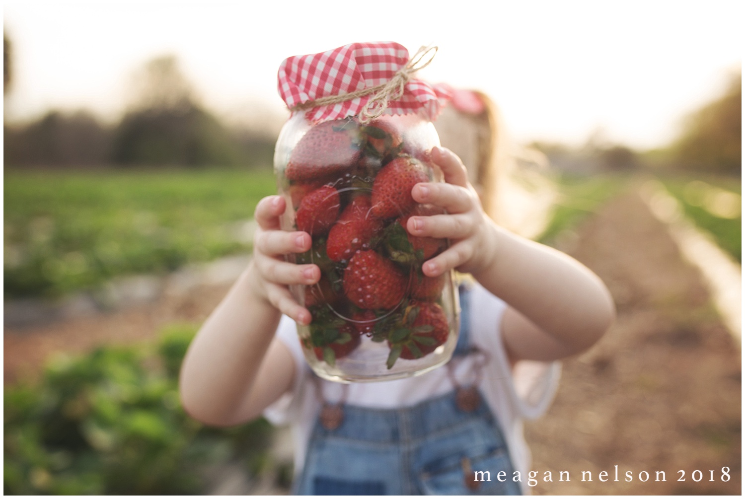 strawberry_patch_session_fort_worth_photographer09.jpg