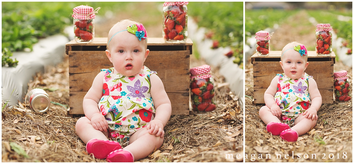 strawberry_patch_session_fort_worth_photographer13.jpg