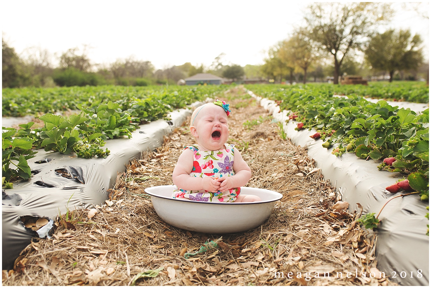 strawberry_patch_session_fort_worth_photographer18.jpg