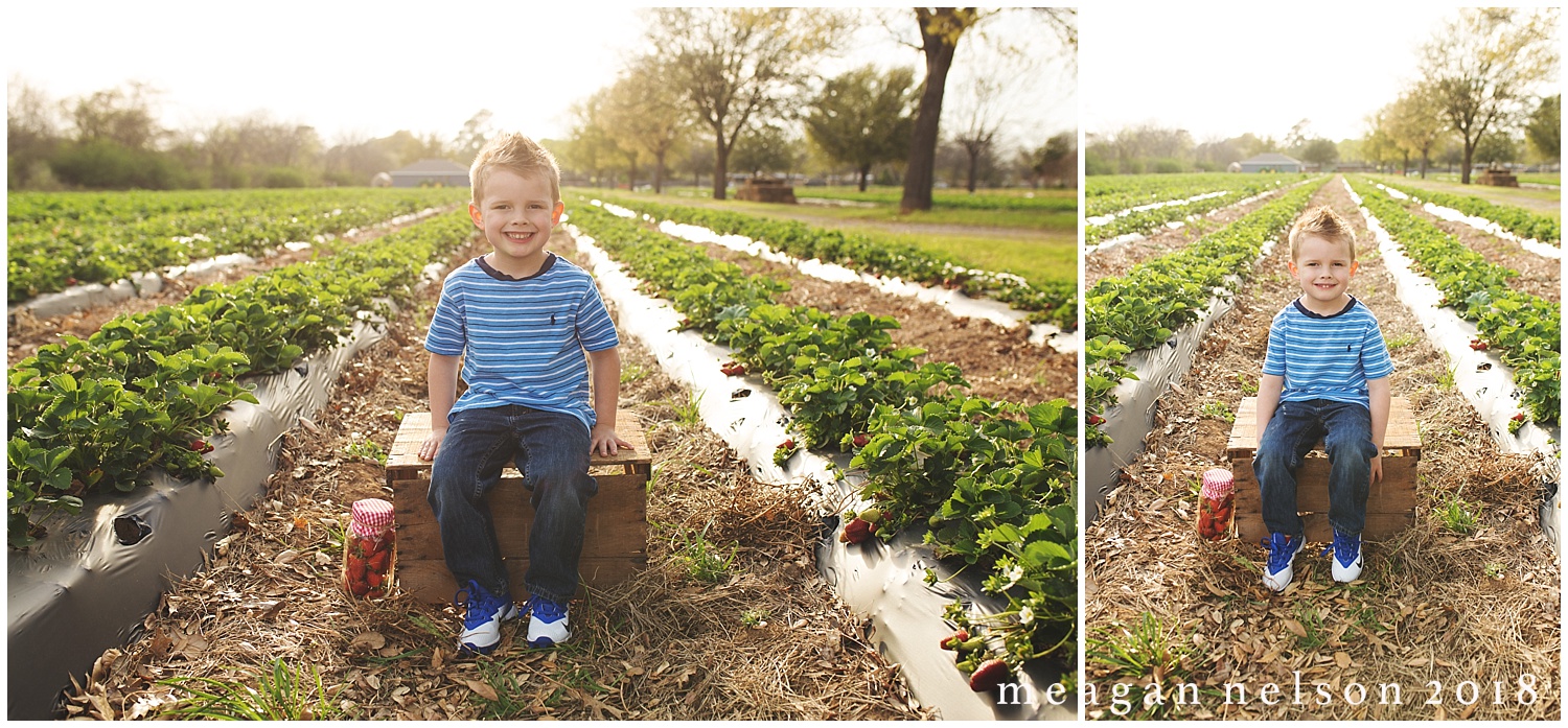 strawberry_patch_session_fort_worth_photographer21.jpg