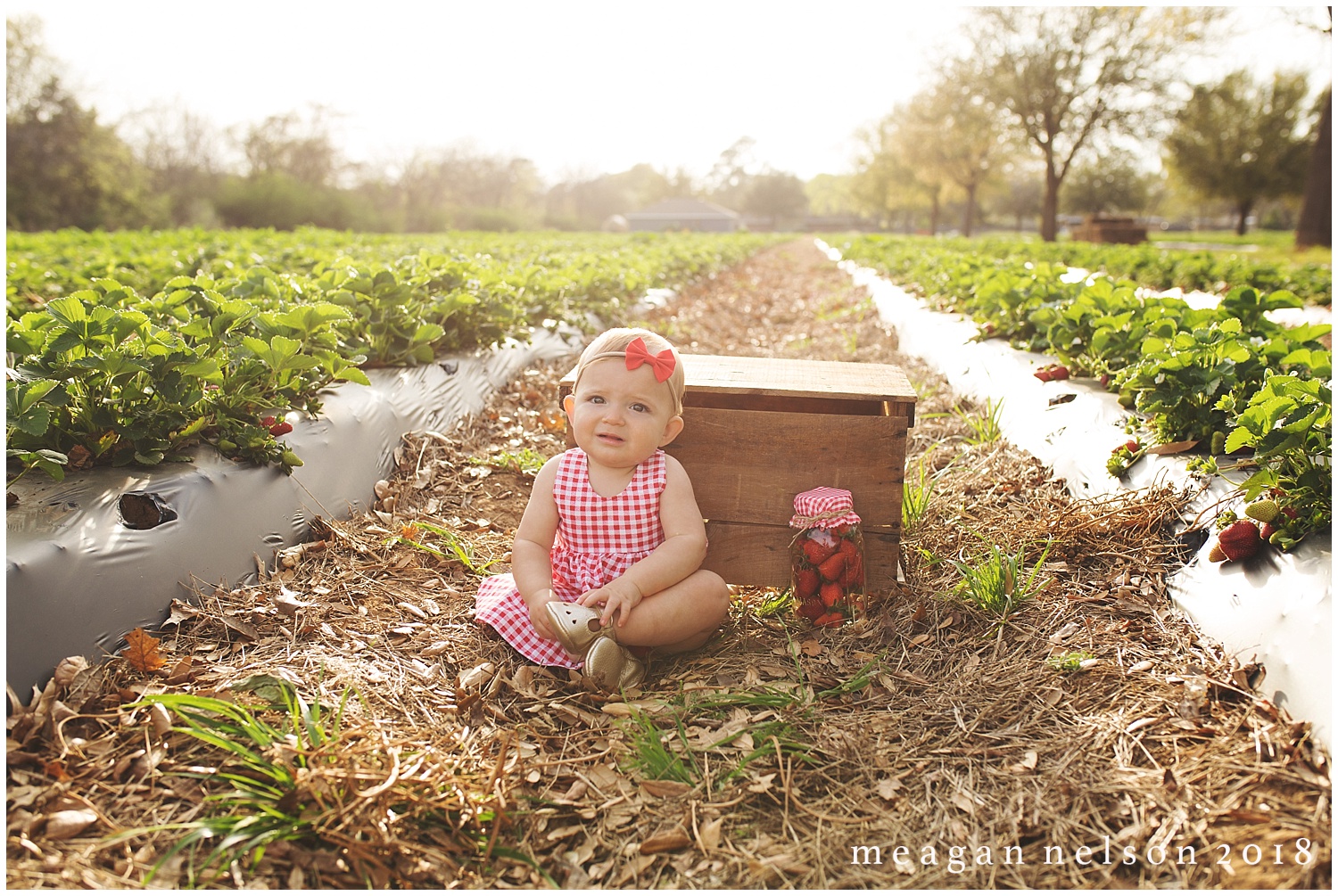 strawberry_patch_session_fort_worth_photographer34.jpg