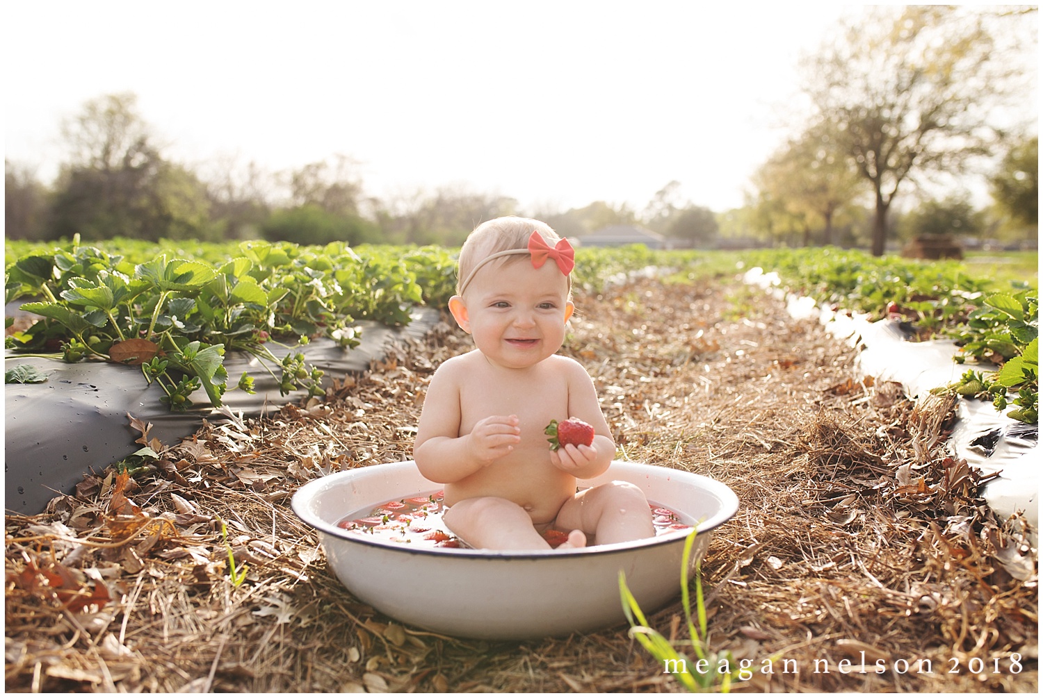 strawberry_patch_session_fort_worth_photographer36.jpg